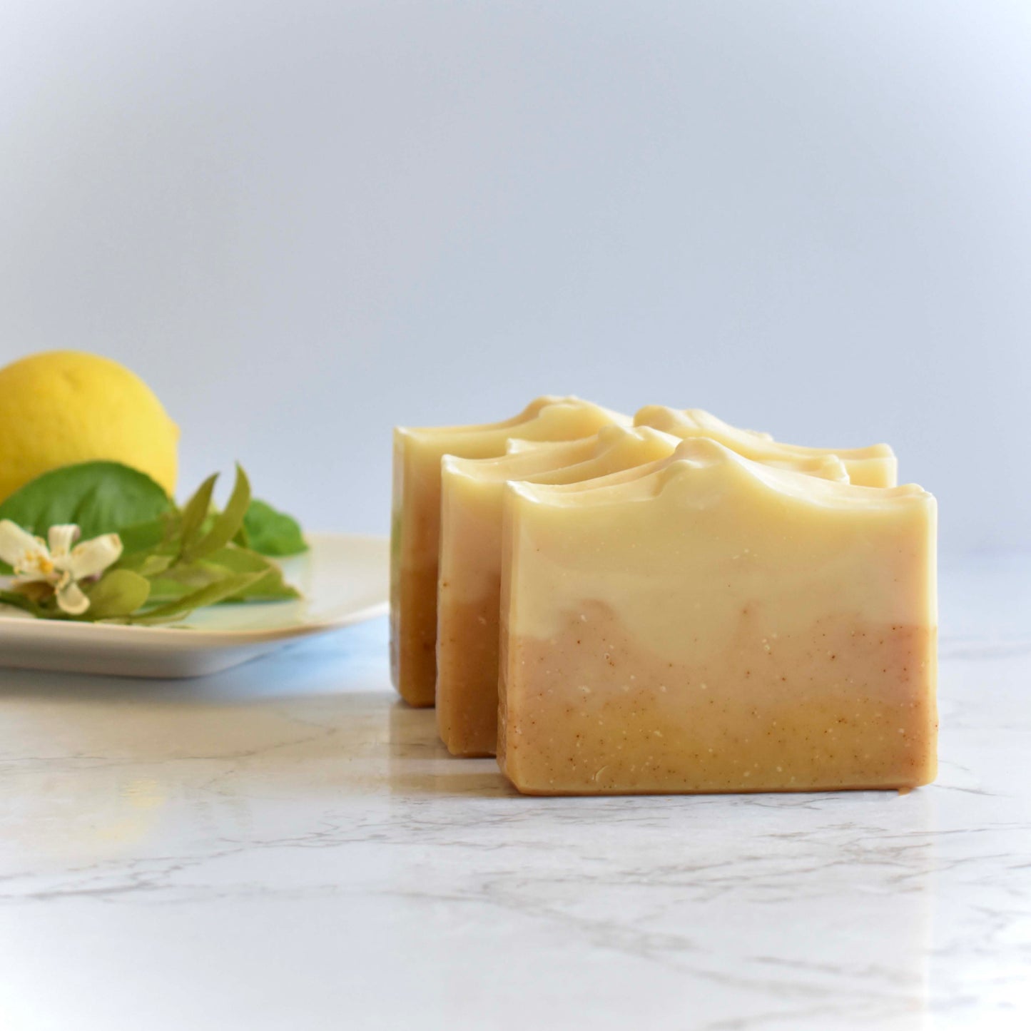 meyer lemon grove